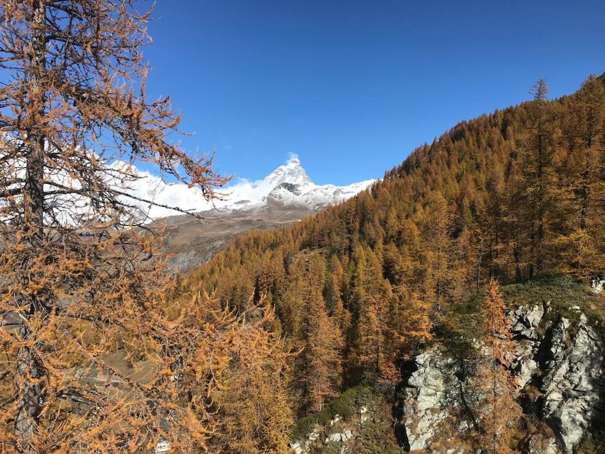 Appartamento Cervinia Fronte Funivie Breuil-Cervinia Dış mekan fotoğraf